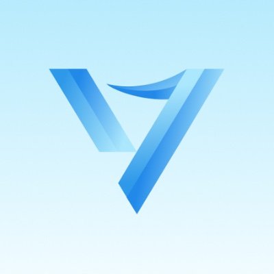 Vly Wallet Logo